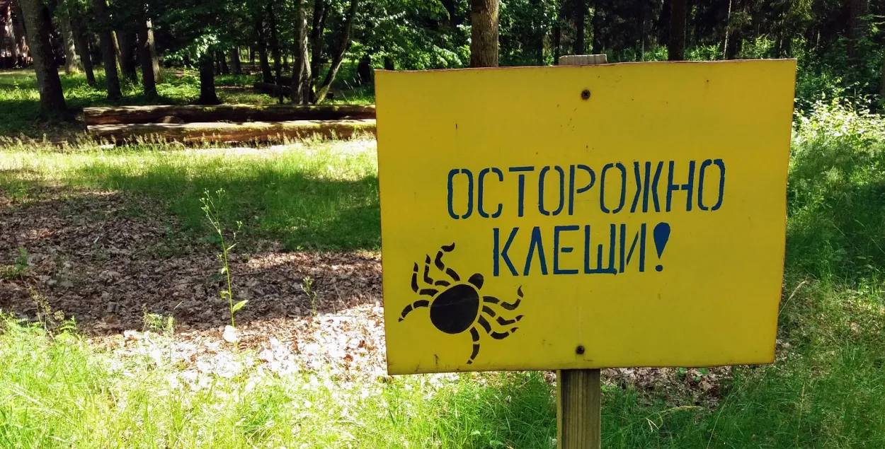 В этом году первые клещи появились очень рано 
