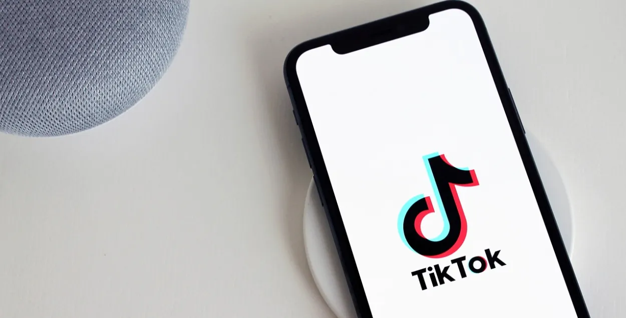 Могилевчанка обратилась к Лукашенко в TikTok
