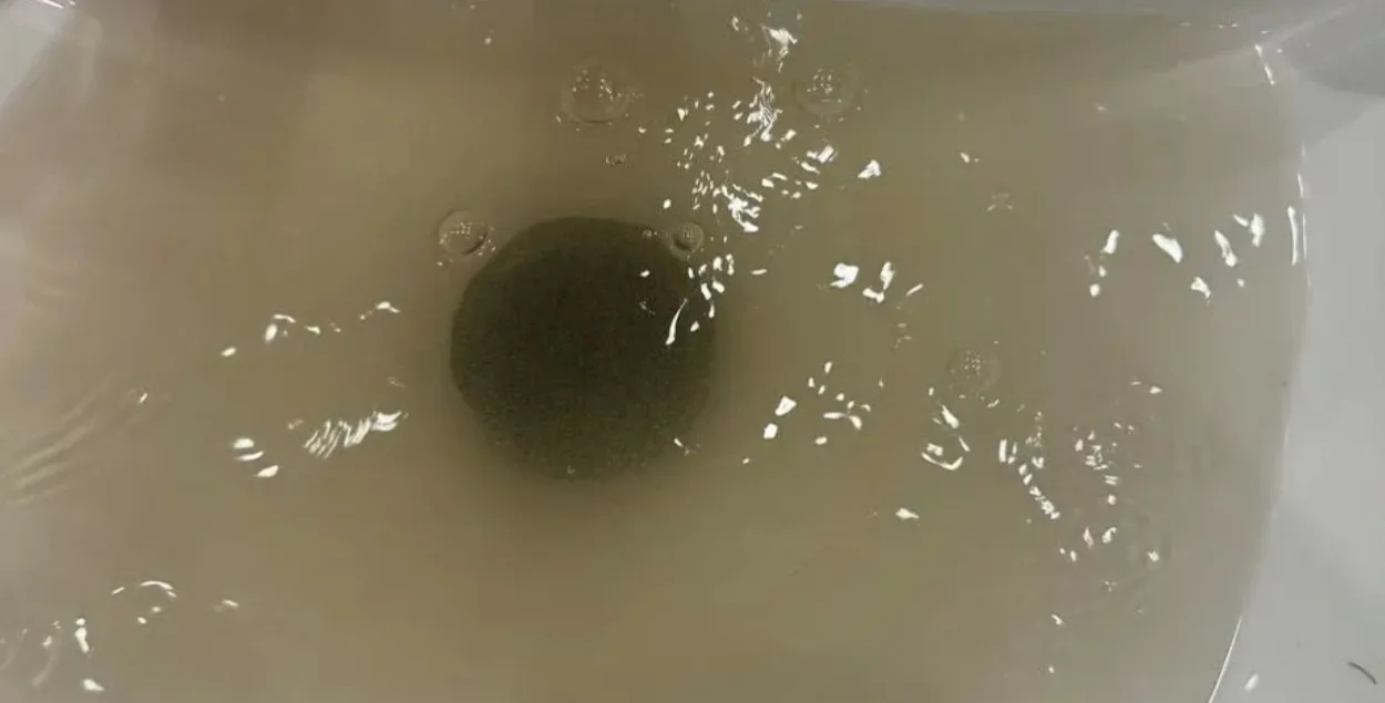 Вода в Новой Боровой
