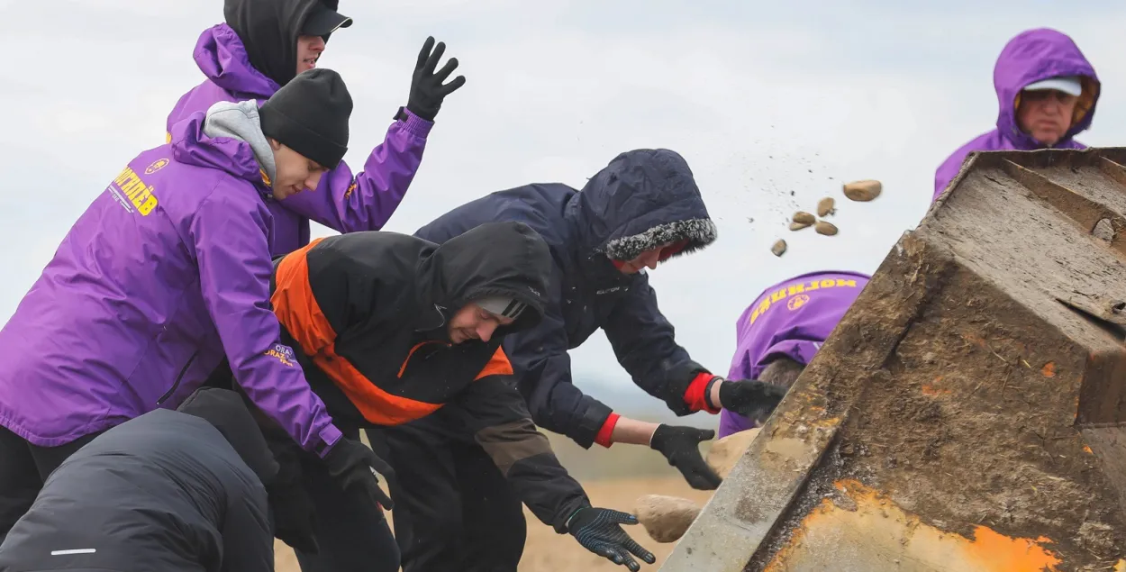 Time to collect stones / vk.com/hcmogilev
