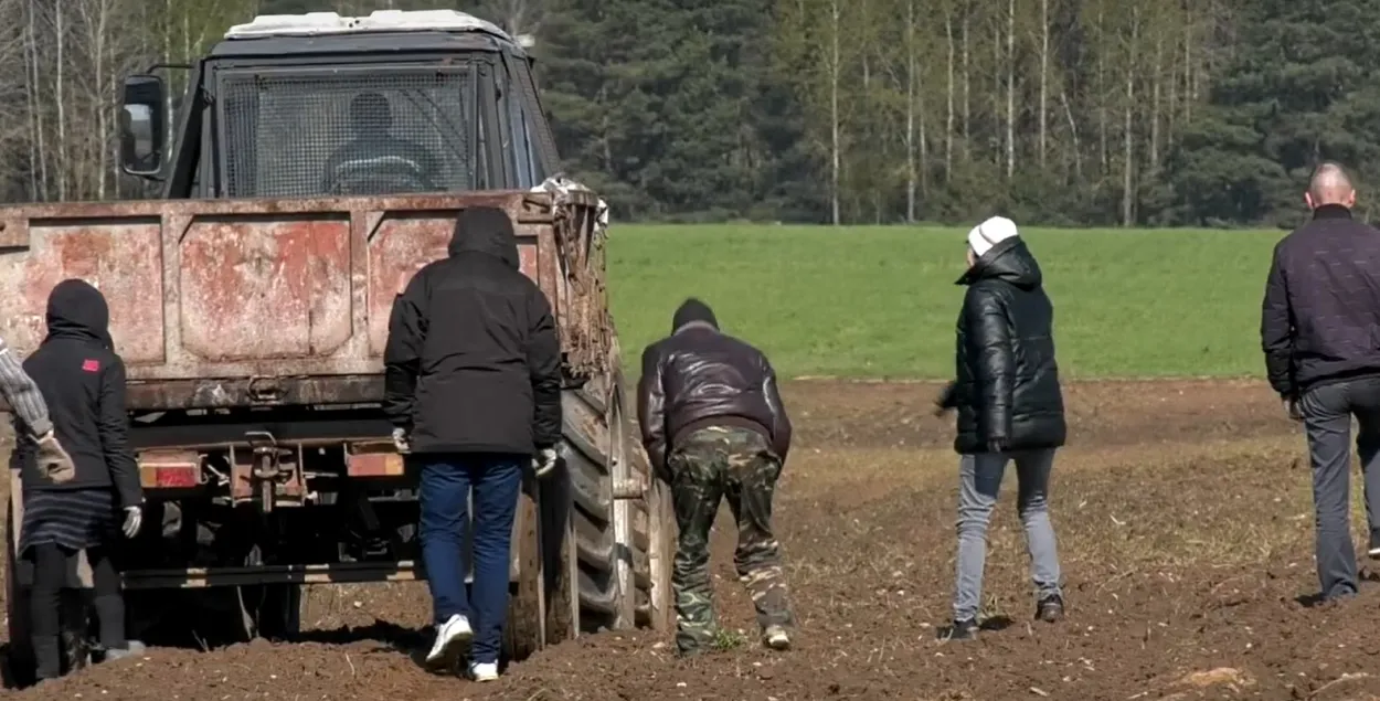 З камеры — на поле

