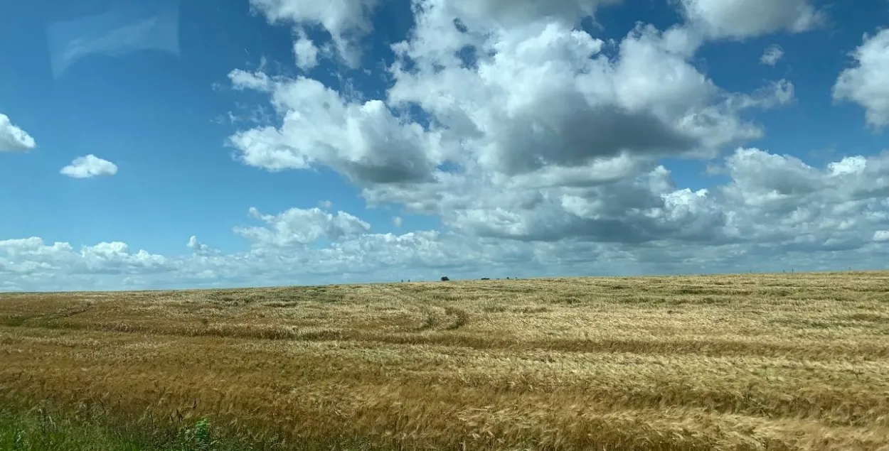 У чэрвені ў Клецкім раёне
