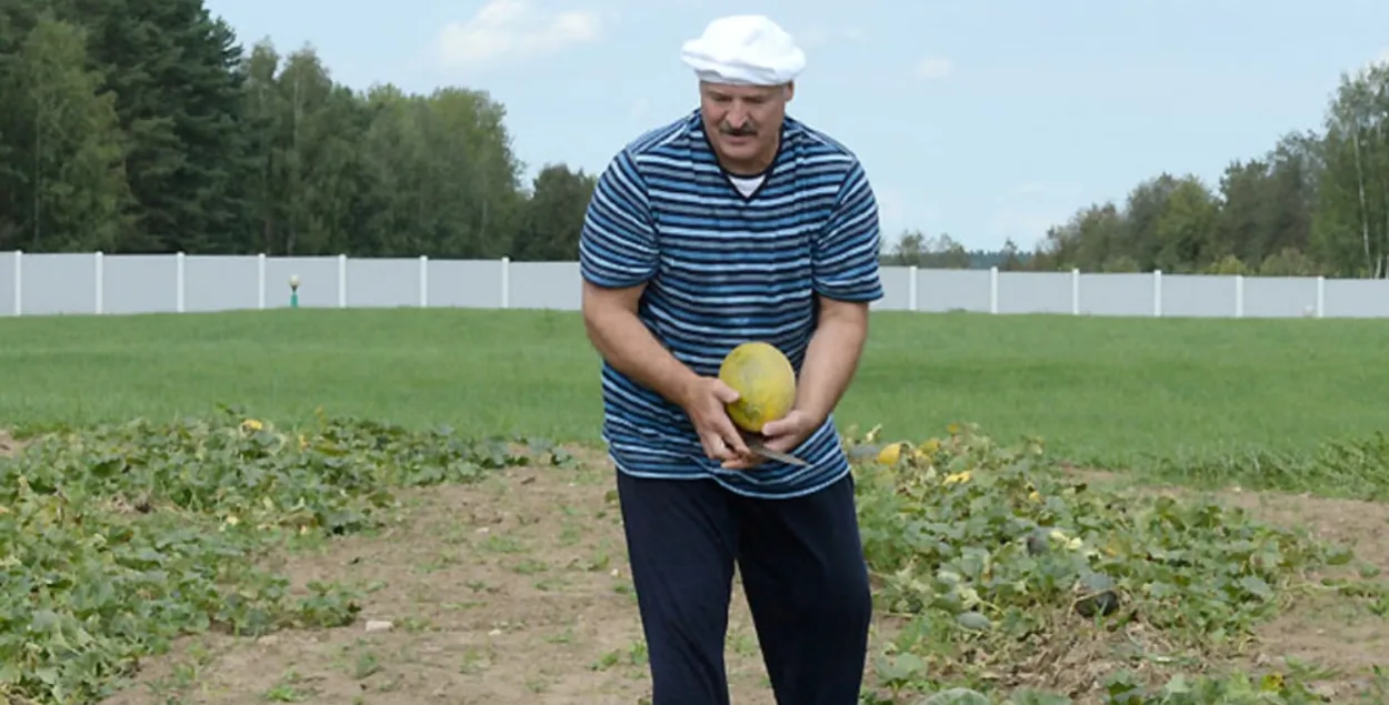 Для Лукашенко купили две дорогие газонокосилки
