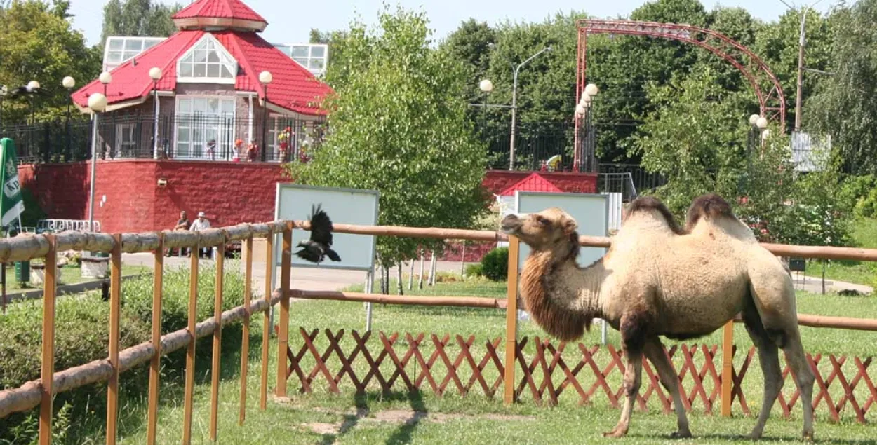 Жыхар мінскага заапарка
