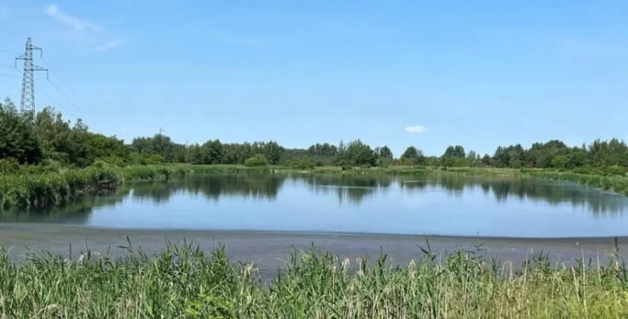 Пруд возле деревни Синело
