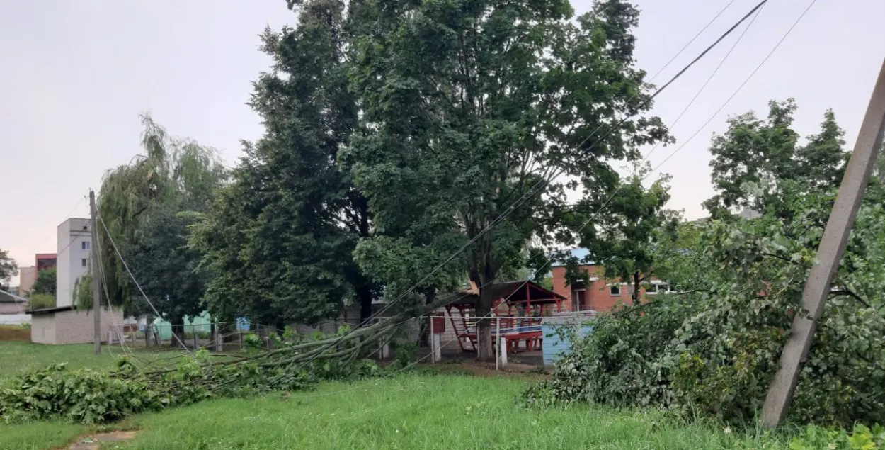 Ці можна дабіцца кампенсацыі ад уладаў?
