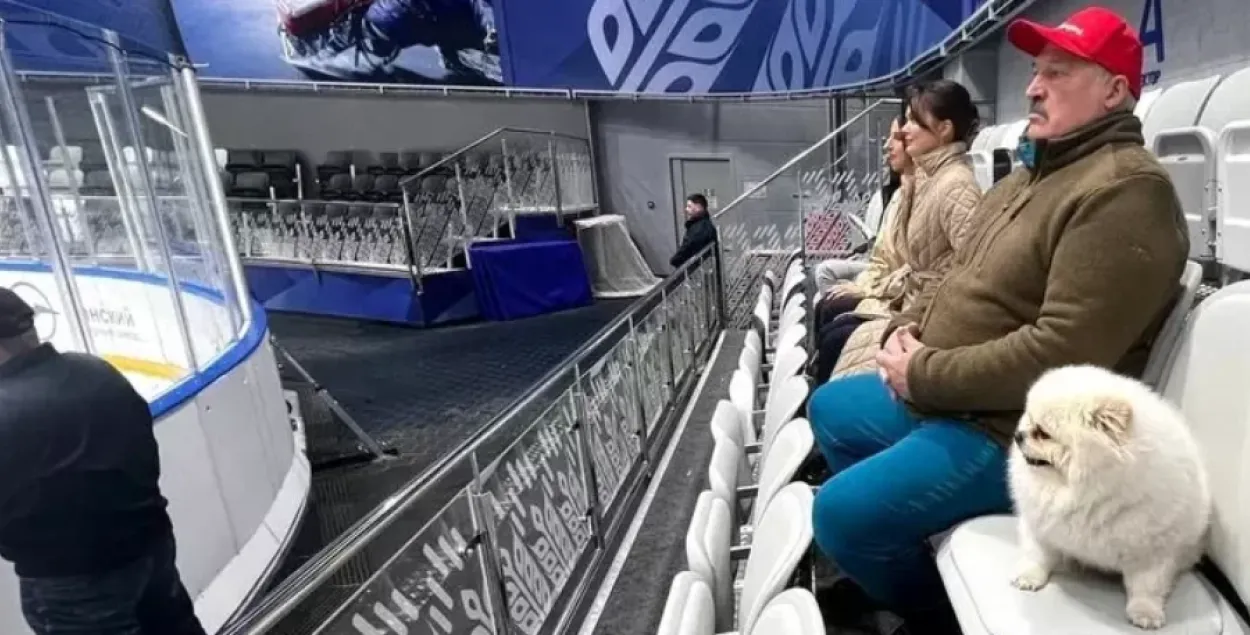 Александр Лукашенко и его собака смотрят хоккей
