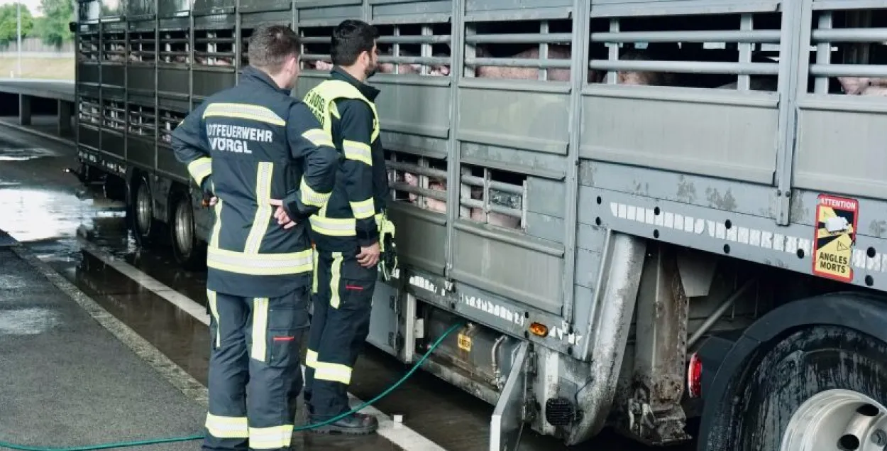 Обеспечить свиней водой помогли пожарные
