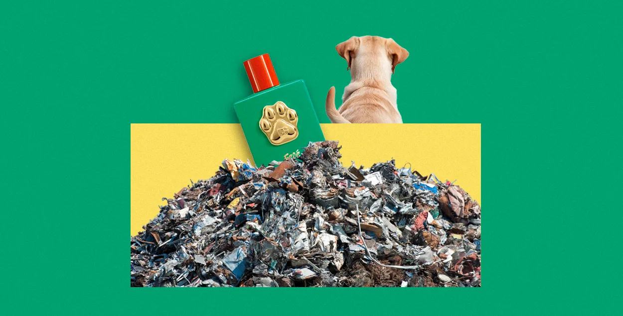Што акрамя Алімпіяды абмяркоўвае свет

