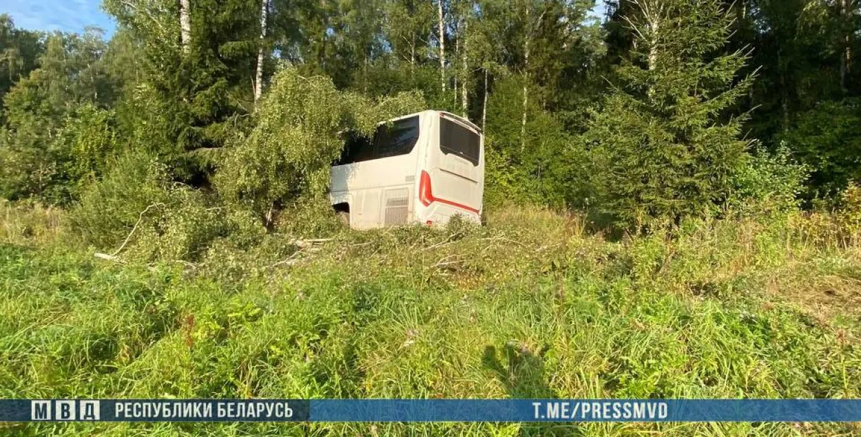 Автобус
