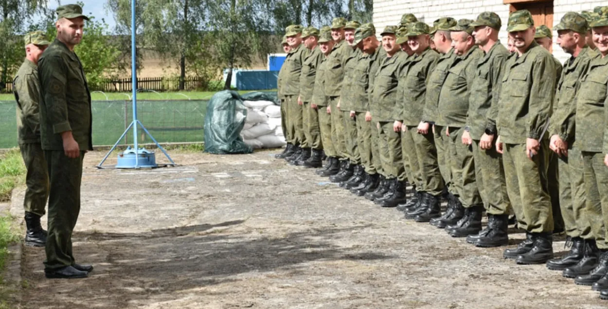 Ваўкавыская тэрабарона
