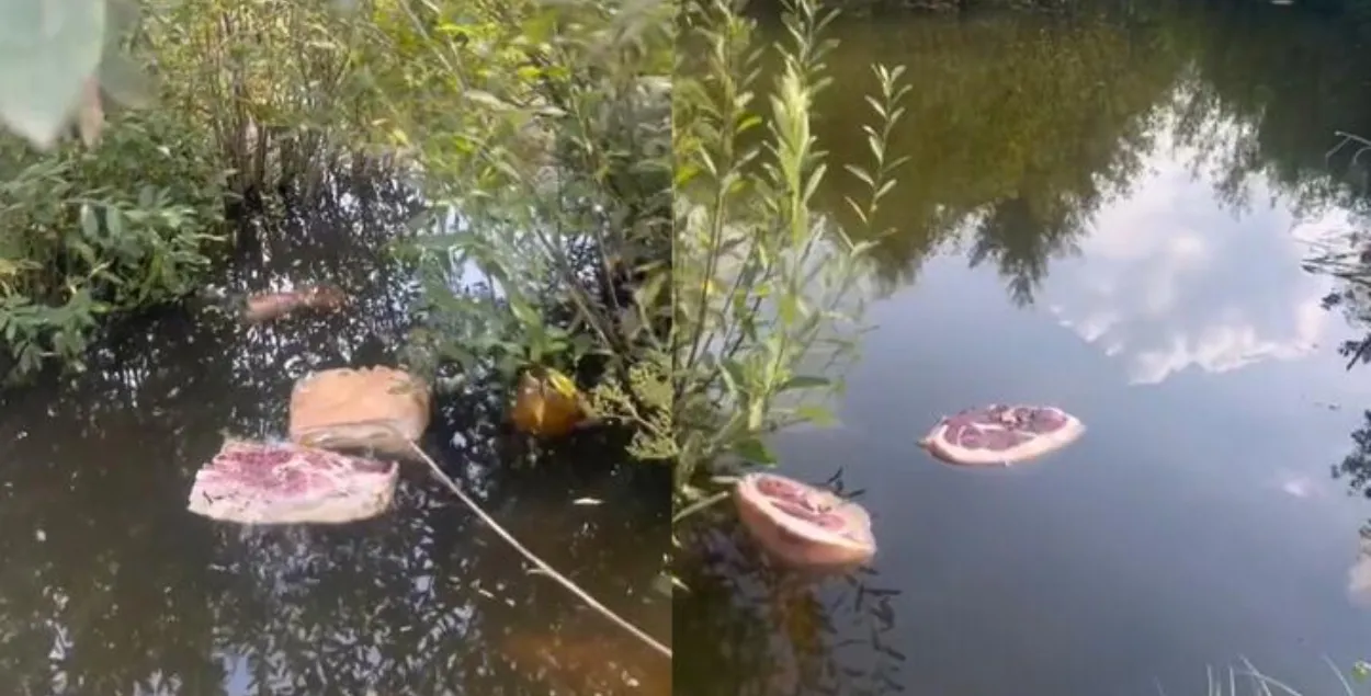 Мясо в водоеме в Сморгонском районе
