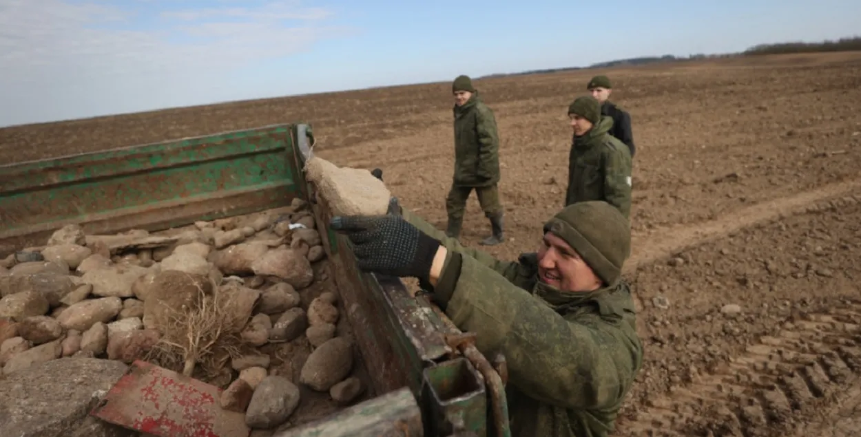 Вясной на Гродзеншчыне вайскоўцы збіралі на палях камяні
