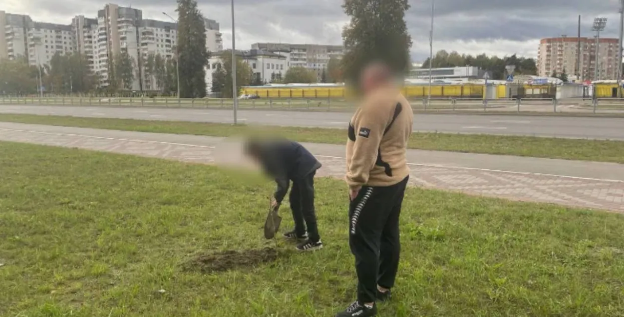 Дрэвы саджалі разам з бацькамі
