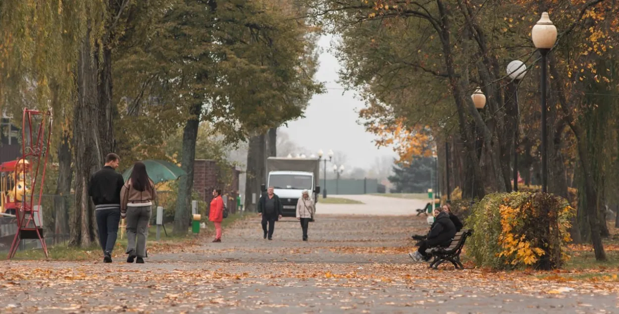 Тепло и в пределах нормы. Климатолог — о погоде осенью в Беларуси
