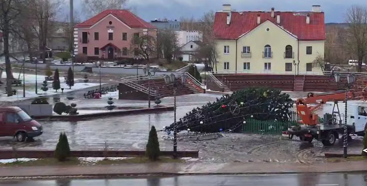 Поваленная елка
