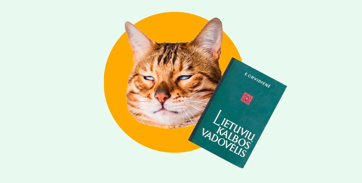 Как белорусам учить литовский язык
