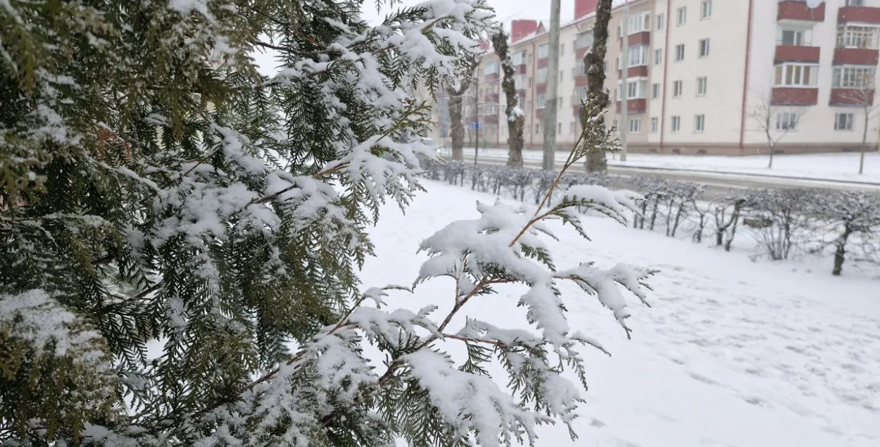 Зима, иллюстративное фото
