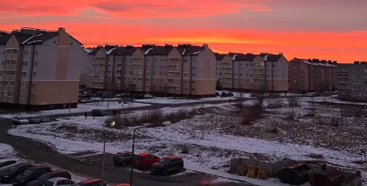 Кобрын
