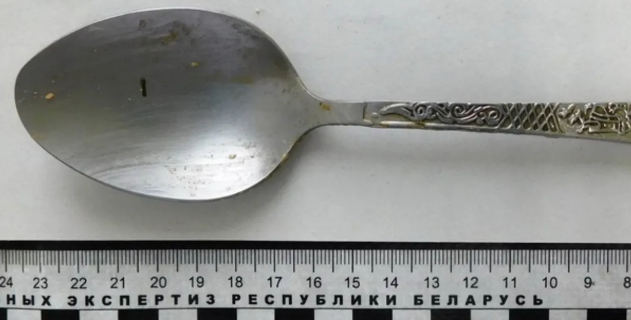 Лыжка, па якой знайшлі дачнага злодзея
