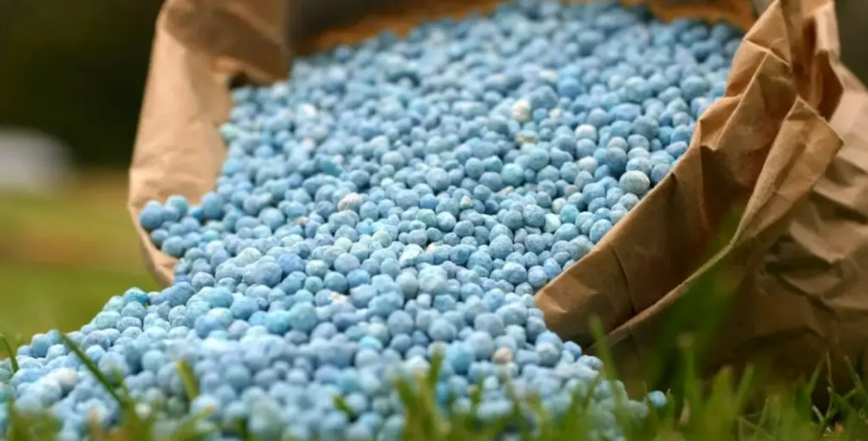 Калійныя ўгнаенні
