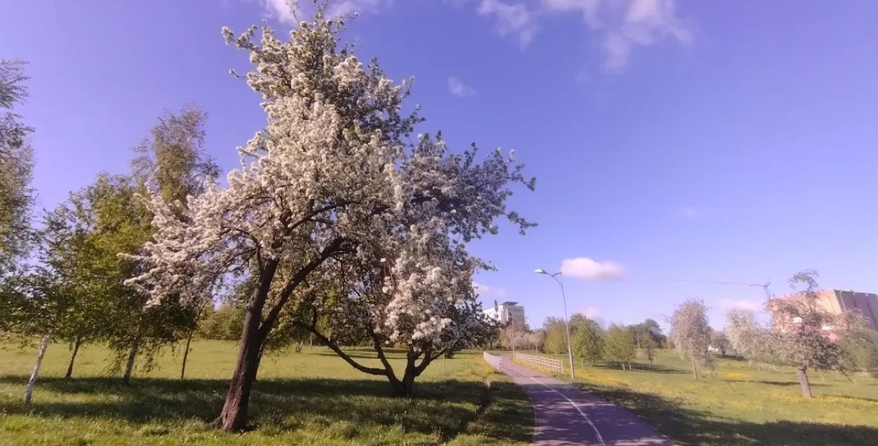 Вясна ў Мінску
