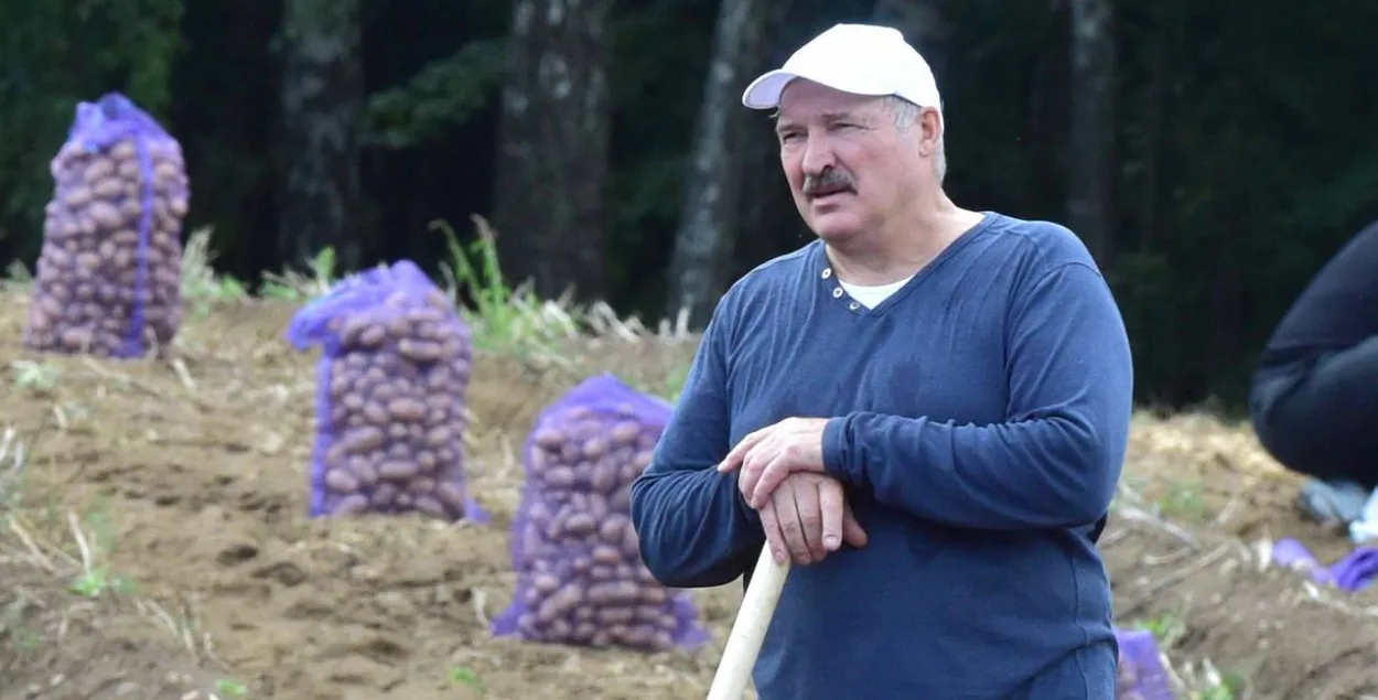 Александр Лукашенко
