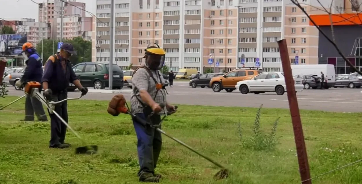 Косари в Гомеле
