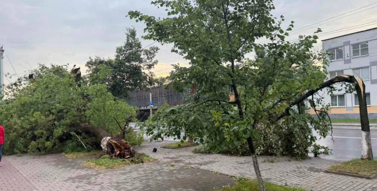 Последствия урагана
