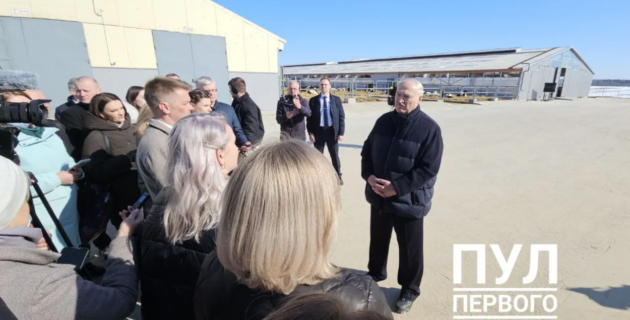 Лукашэнка падчас паездкі на Магілёўшчыну
