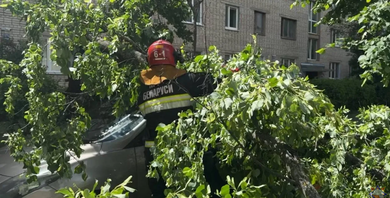 Наступствы стыхіі
