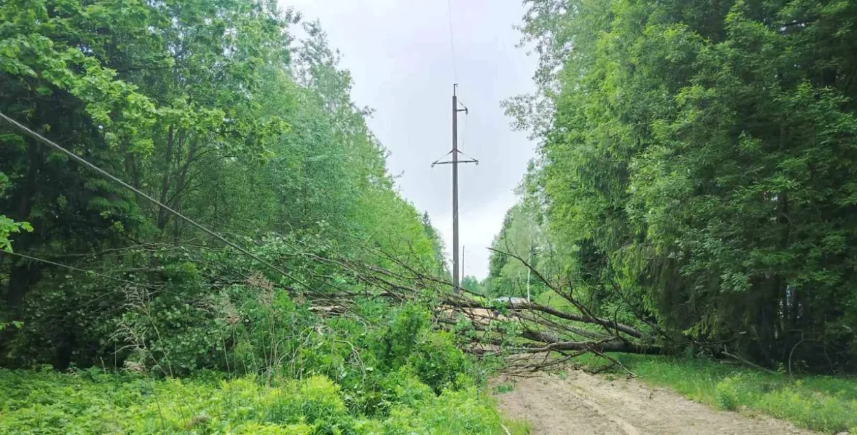 Наступствы стыхіі на Міншчыне
