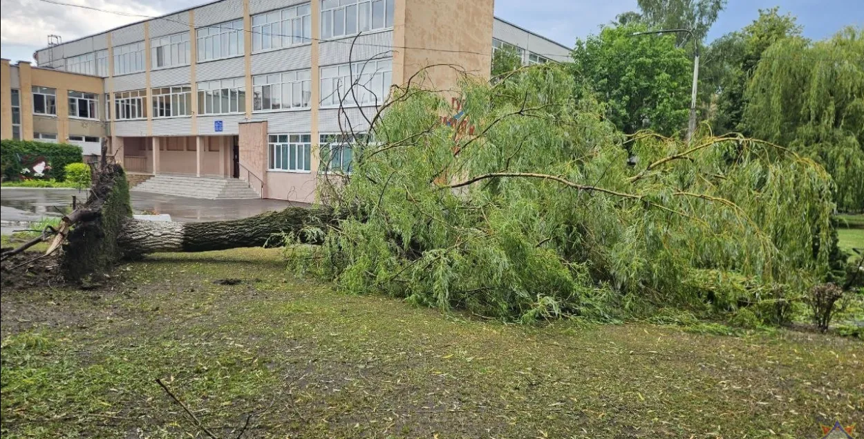 Наступствы непагадзі ў Бабруйску
