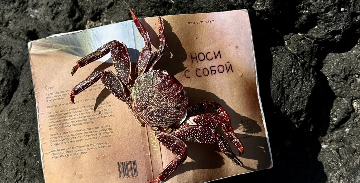 Книга "Носи с собой" на пляже

