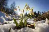 Якой будзе ў гэтым годзе вясна / msrp.ru.com

&nbsp;

&nbsp;
