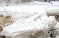 "Неслі службу ў складаных умовах у разлітай пойме Дняпра" / Ілюстрацыйнае фота БЕЛТА
