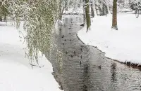 Сакавік у Беларусі / БЕЛТА
