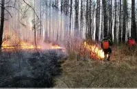 БЕЛТА