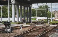 Жывёла трапіла пад цягнік
