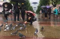 Кармленне галубоў&nbsp;/ belsat.eu