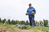 Лукашэнка з кавунамі / "Пул Першага"​
