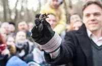 Супрацоўнік "Аховы птушак Бацькаўшчыны" Аляксей Шпак выпускае на волю кажаноў пасля зімовай спячкі, 2019 год / Еўрарадыё