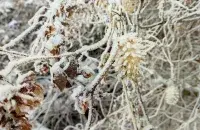 Зіма ў Беларусі / Еўрарадыё
