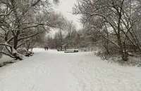 Зіма ў Беларусі / Еўрарадыё
