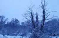 Зіма / Еўрарадыё

