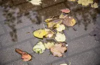 Восень у Беларусі / Еўрарадыё
