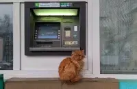 З картамі Visa і Mastercard могуць узнікнуць праблемы / Чай з малінавым варэннем