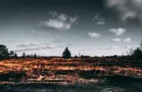У спякоту варта ўстрымацца ад распальвання вогнішчаў / pexels.com