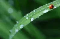 Па большай частцы Беларусі чакаюцца дажджы / pexels.com
