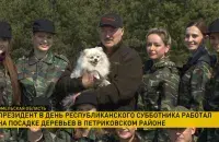 Лукашэнка са шпіцы Умка на суботніку ў Петрыкаўскім раёне&nbsp;/ ОНТ